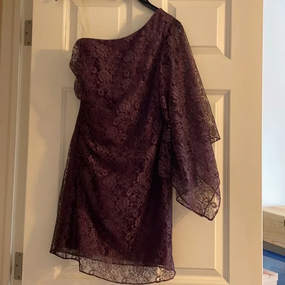 Adrianna Papell | Dresses | Purple Lace Oneshoulder Dress Adrianna Papell  Nwt Size 5 | Poshmark